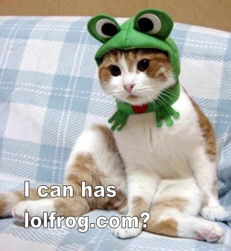 cat-frog-hat.jpg. This entry was posted on February 27, 2008 at 7:42 pm and 