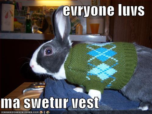sweater vest